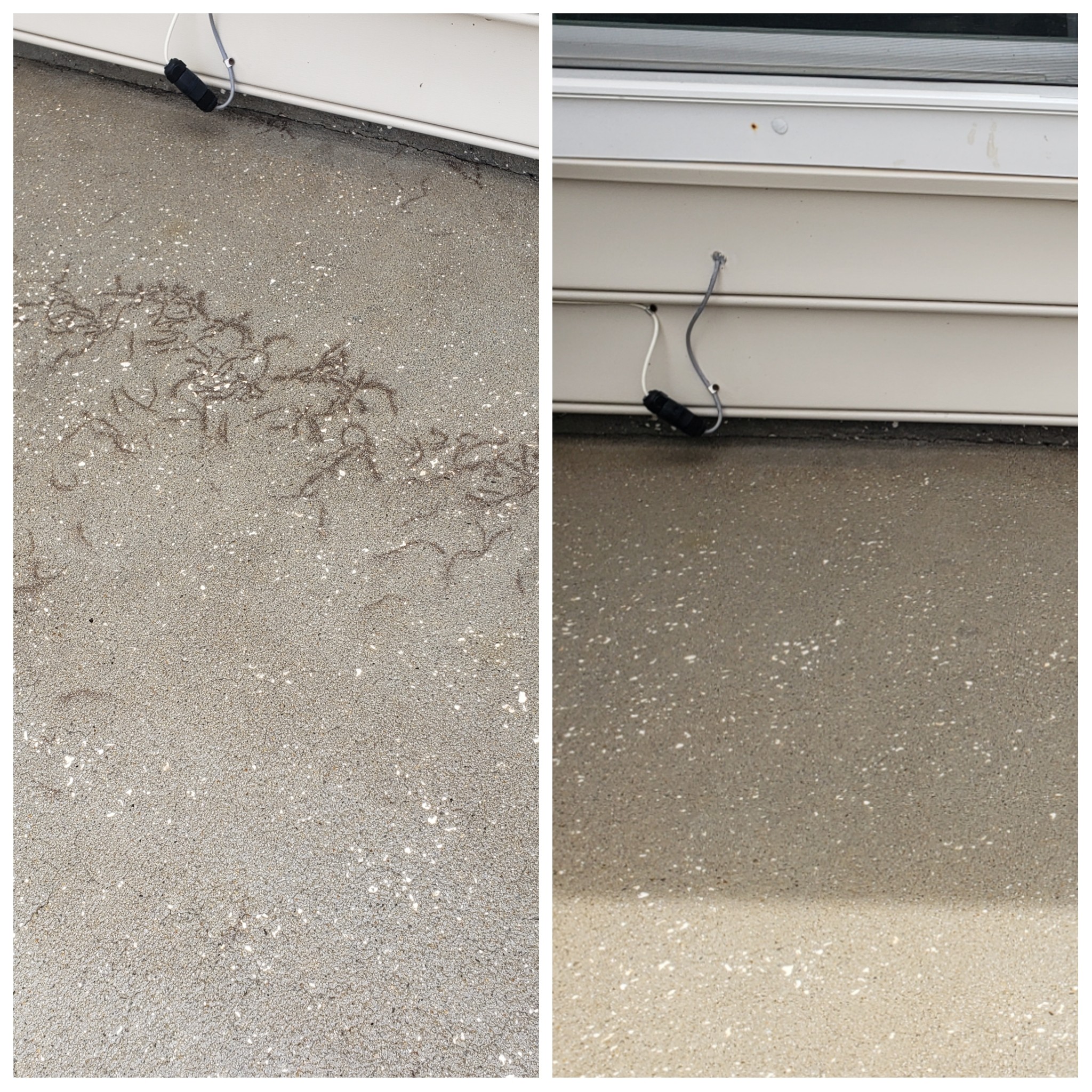 Before and after SeaDragon Home Services.