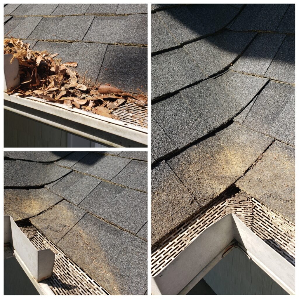 gutter cleaning James Island