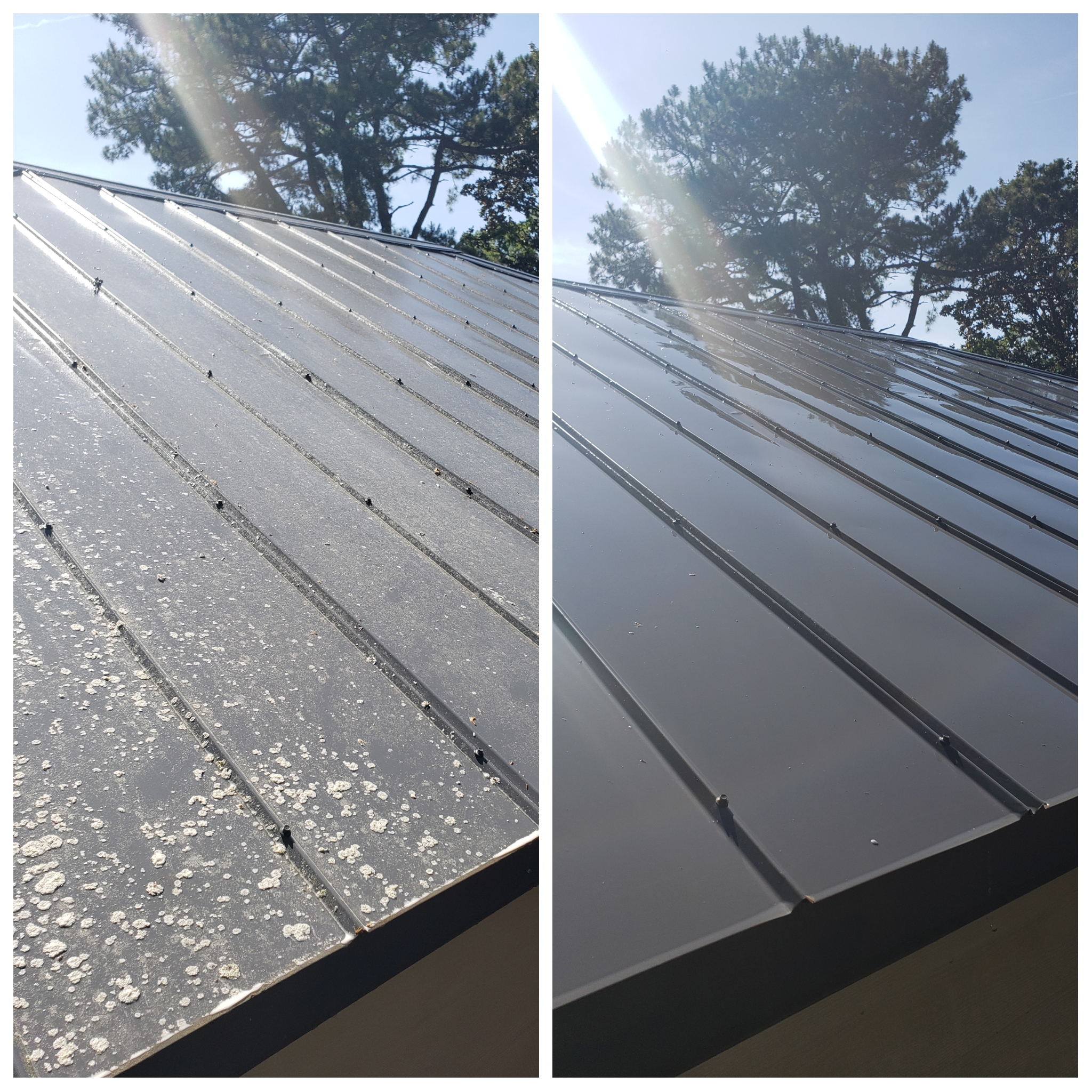 Before and after SeaDragon Home Services.