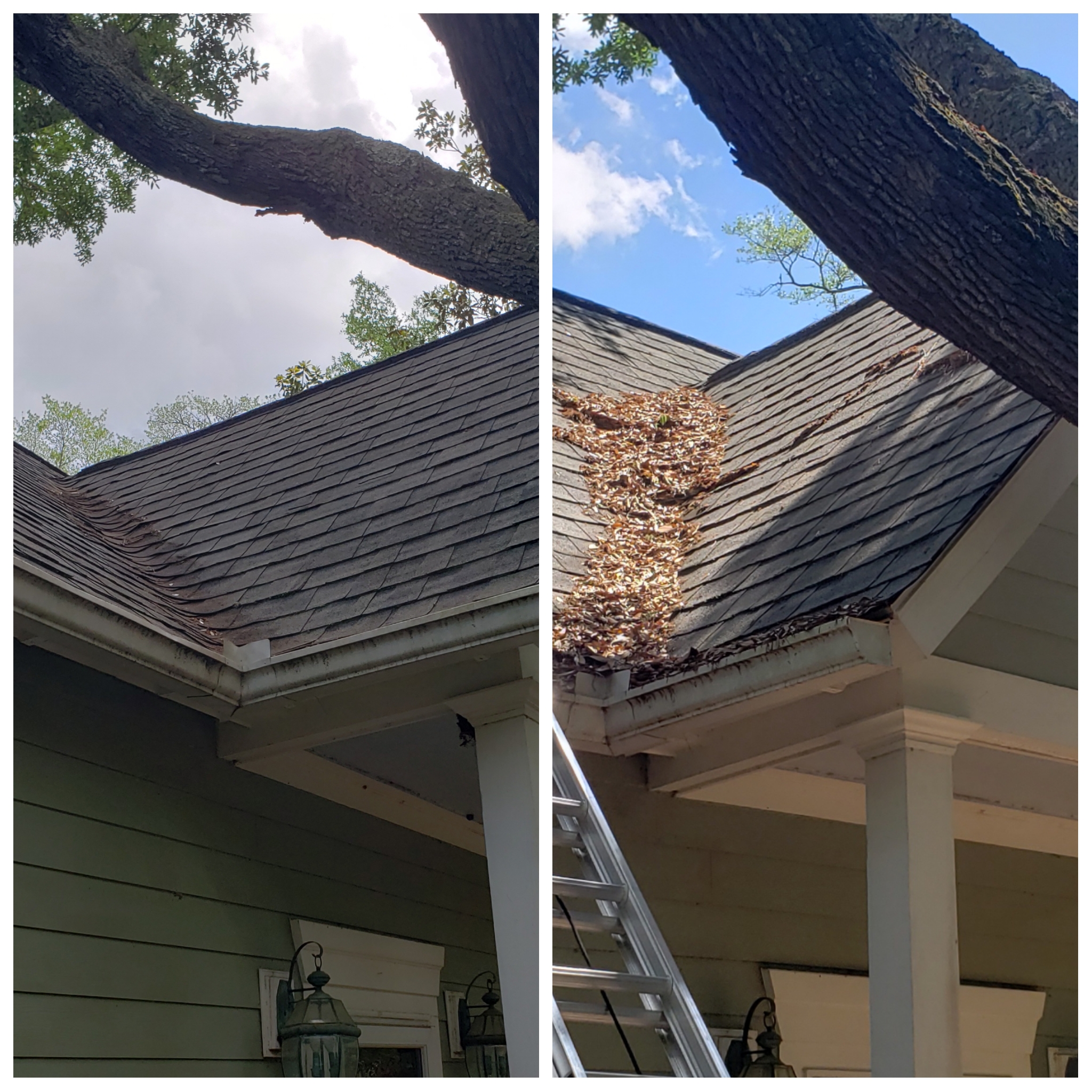 Before and after SeaDragon Home Services. Cleaning Gutters Chatleston
