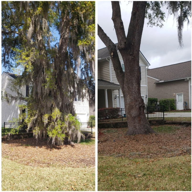 Before and after SeaDragon Home Services.