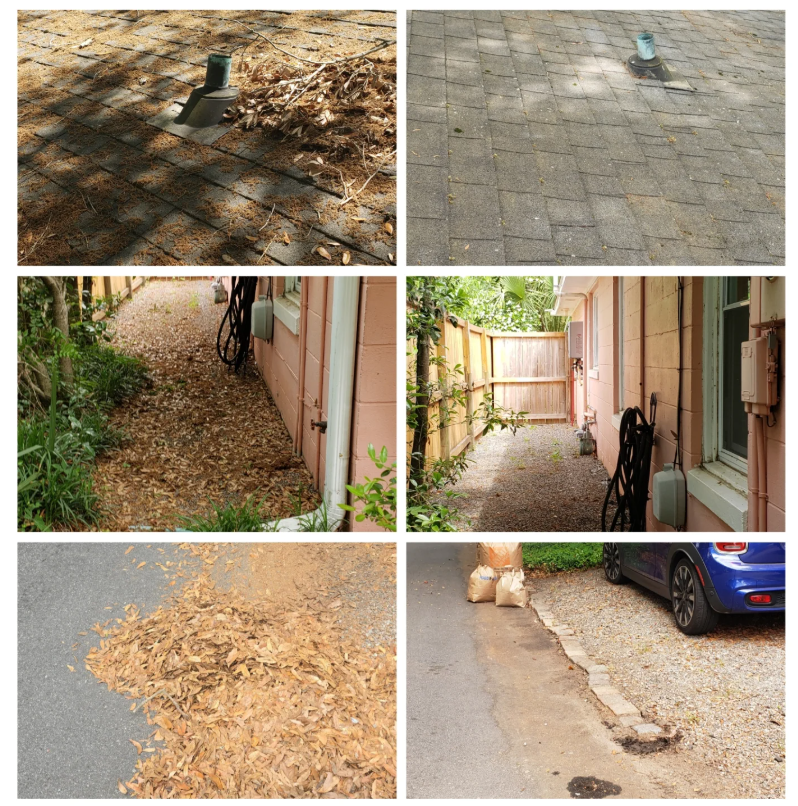 Before and after SeaDragon Home Services.