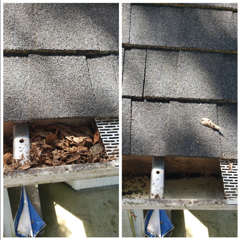 gutter cleaning James Island