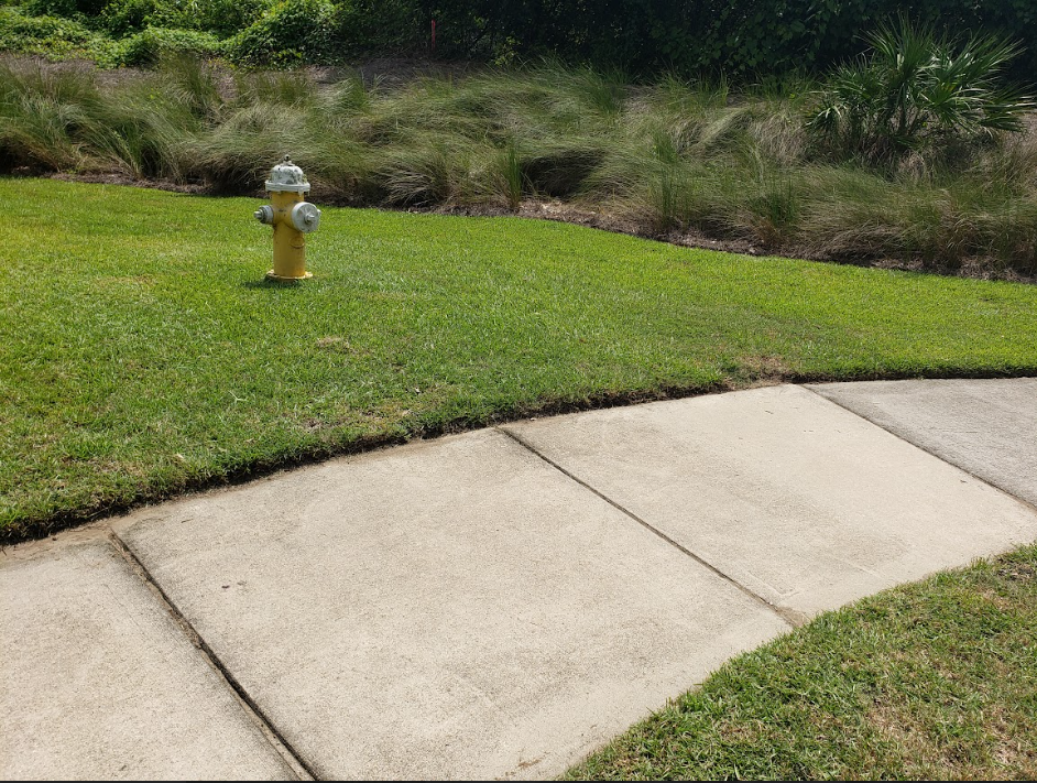 Lawn Maintenance Services in Charleston SC