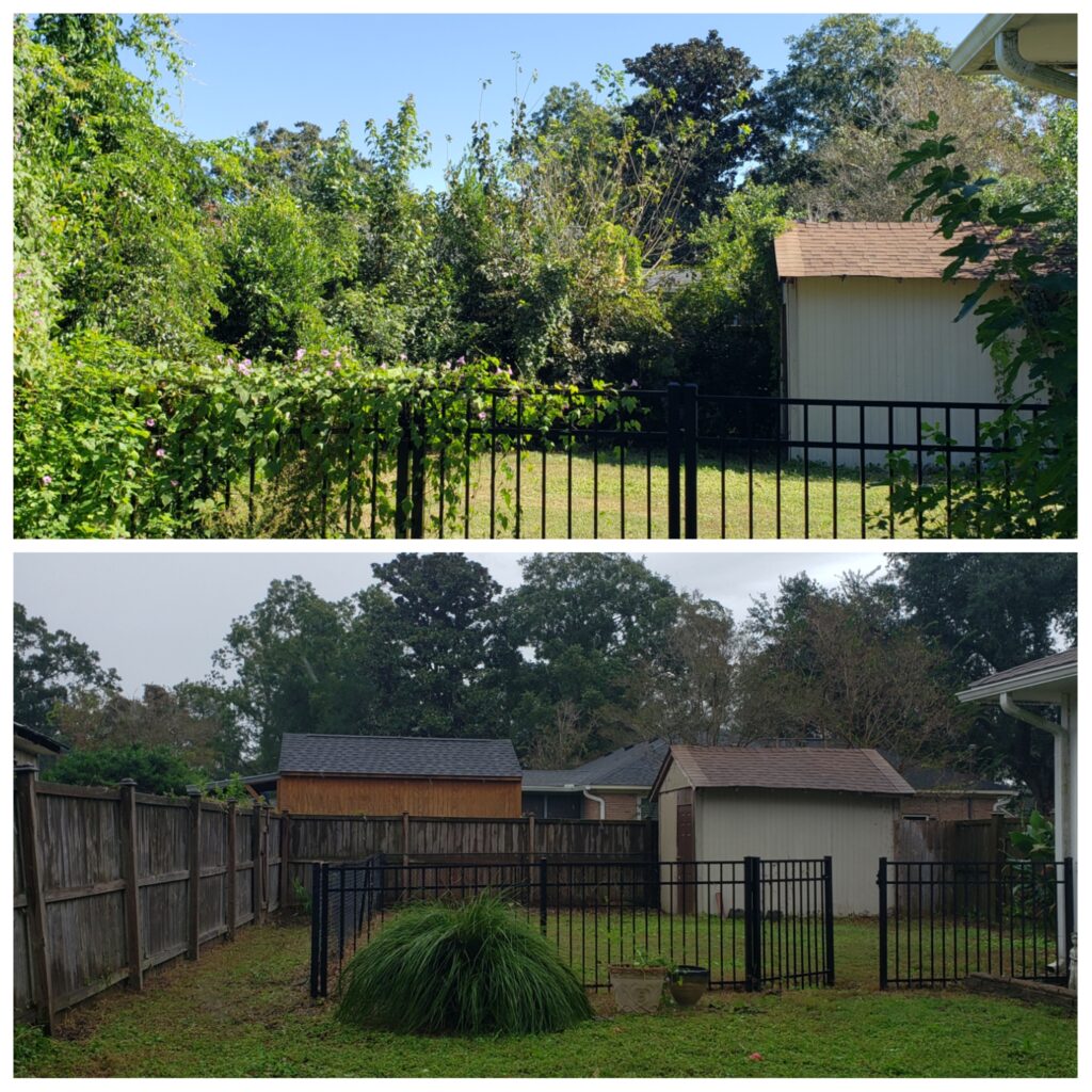 Lawn Maintenance Services in Charleston SC