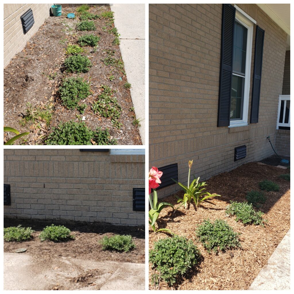 Lawn Maintenance Services in Charleston SC