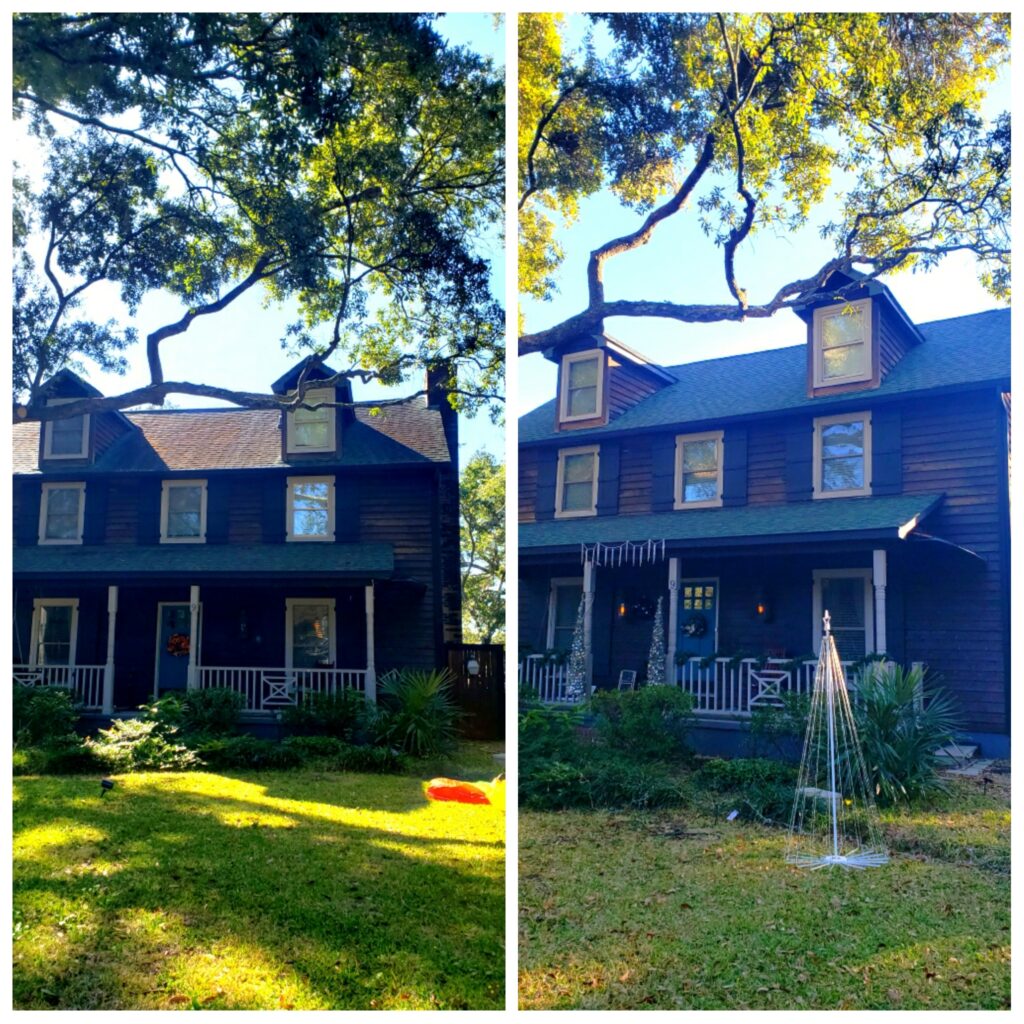 roof cleaning in Charleston